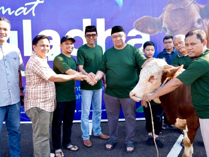 Iduladha 1447 H, LPDB Koperasi Tebar Semangat Berbagi melalui Penyaluran Hewan Kurban