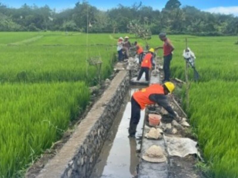 Layanan irigasi pertanian. 
