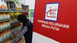 Kopdes Merah Putih Untung, Siapa yang Menikmati?