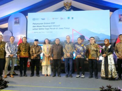 OJK – ILO Buka Jalan Kredit untuk 10 Ribu Peternak Sapi Perah