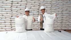 BPK Apresiasi Bulog, Serapan Gabah 77 Persen Jadi Bukti Tata Kelola Solid