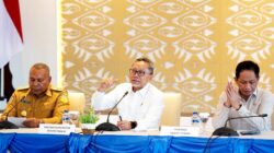 KSPEAN Papua Selatan Jadi Motor Ketahanan Pangan Nasional