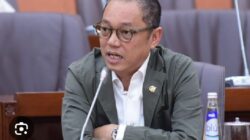 dedy sitorus