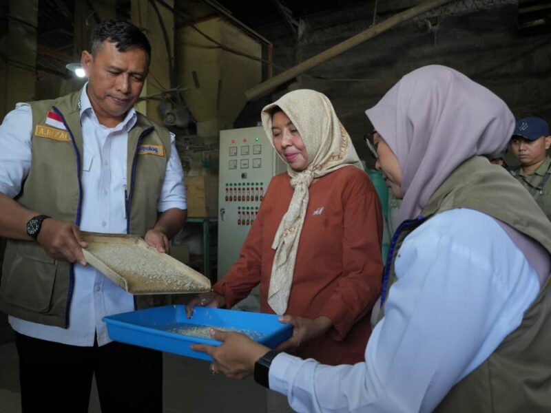 BULOG Pastikan Mutu Beras CBP, Stok Nasional Tembus 5,4 Juta Ton
