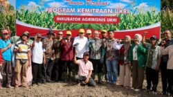 Kementerian UMKM: Petani Bisa Akses KUR Rp100 Juta Tanpa Agunan, Asal Berkelompok