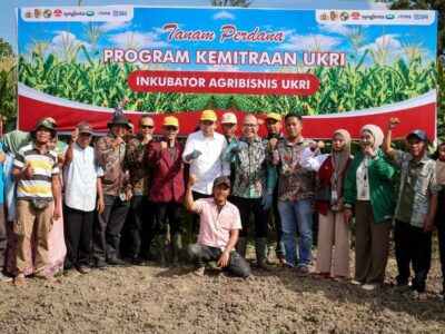 Kementerian UMKM: Petani Bisa Akses KUR Rp100 Juta Tanpa Agunan, Asal Berkelompok