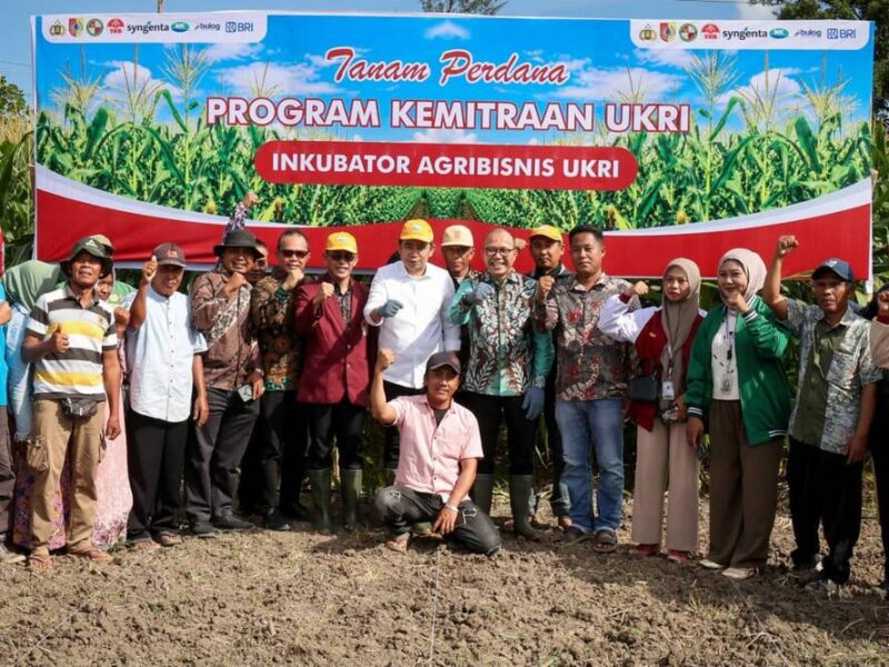 Kementerian UMKM: Petani Bisa Akses KUR Rp100 Juta Tanpa Agunan, Asal Berkelompok
