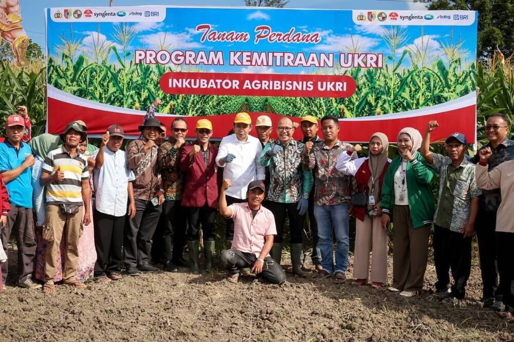 Kementerian UMKM: Petani Bisa Akses KUR Rp100 Juta Tanpa Agunan, Asal Berkelompok
