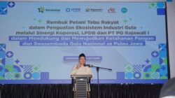 Kemenkop Perkuat Koperasi Petani Tebu, Bidik Swasembada Gula