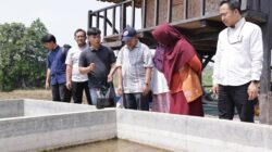 Penerima program Tenaga Kerja Mandiri (TKM) Kementerian Ketenagakerjaan (Kemnaker). Foto: kemnaker/peluangnews