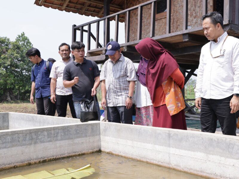 Penerima program Tenaga Kerja Mandiri (TKM) Kementerian Ketenagakerjaan (Kemnaker). Foto: kemnaker/peluangnews