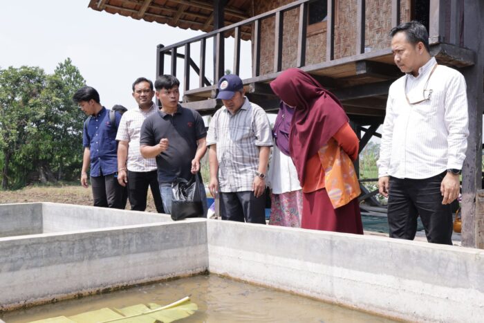 Penerima program Tenaga Kerja Mandiri (TKM) Kementerian Ketenagakerjaan (Kemnaker). Foto: kemnaker/peluangnews