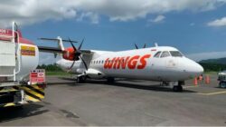 wings air