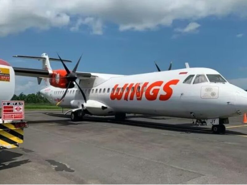 wings air