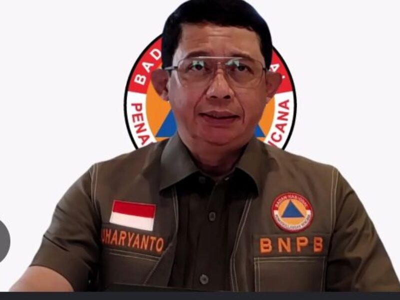 bnpb