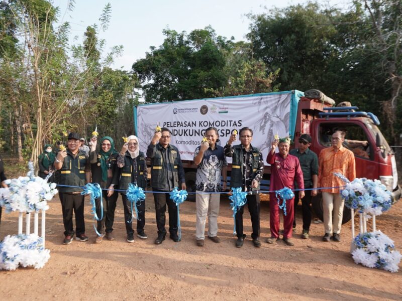 Pembentukan Holding UMKM Perkebunan Perkuat Nilai Lada Putih Muntok