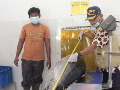 Tarif Nol Persen ke Jepang Jadi Peluang Emas, KKP Benahi Hulu Perikanan Tuna
