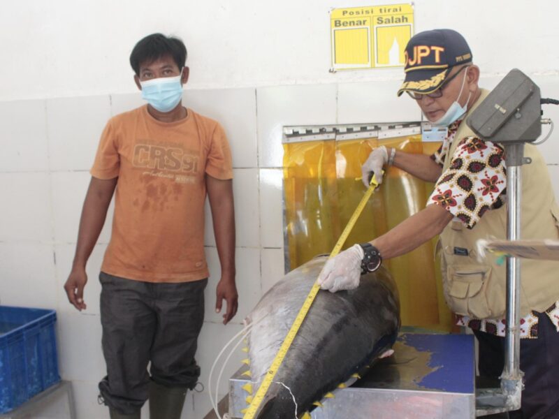 Tuna cakalang.