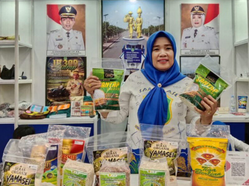 Pacu Investasi Sektor Pangan Hingga Energi Hijau