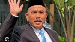 syahganda nainggolan