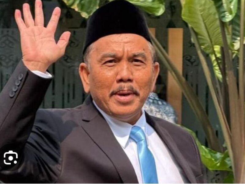 syahganda nainggolan