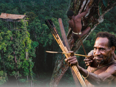 Rumah Pohon Suku Korowai 45 Meter Di Atas Makhluk Halus