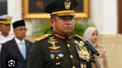 maruli simanjuntak