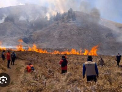 Empat Nyawa di Balik Asap Bromo: Ketika Pengabdian Harus Dibayar dengan Kehidupan