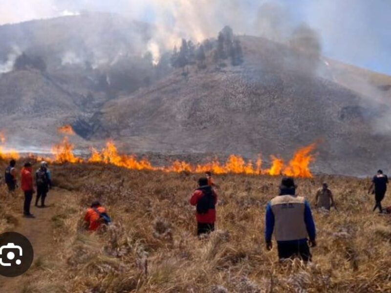 karhutla bromo 
