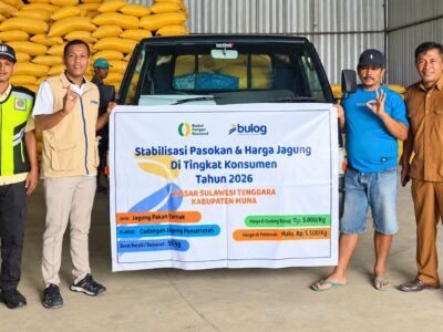 BULOG Percepat SPHP Jagung, 185.699 Ton Sudah Disalurkan ke Peternak